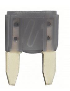 LF.ATM2A 2 AMP MINI BLADE FUSE