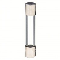 GLASS AGC FUSE, 10A, 250V,