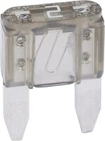 2 AMP MINI BLADE FUSE