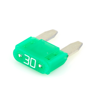 30 AMP MINI BLADE FUSE
