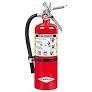 ABC FIRE EXTINGUISHER, 20 LB, KIDDIE, 466206
