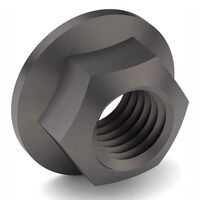 1/2-13 HEX FLANGE NUT PLAIN