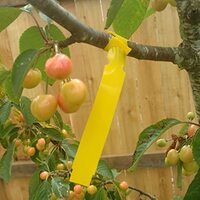 9&quot; X 1&quot; YELLOW - 2,000 PCS - PLASTIC PLANT TAGS AND LABELS - WRAP AROUND THERMAL PLASTIC - NURSERY G