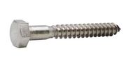 1/4 X 2.000&quot; HEX LAG BOLT SS