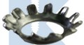 1/4 EXTERNAL TOOTH COUNTERSUNK LOCK WASHER 18 8 STAINLESS STEEL