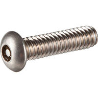 M8-1.25 X 30MM BUTTON HEAD TORX SCREW TAMPER RESISTANT WITH PIN IN HEAD 18-8SS