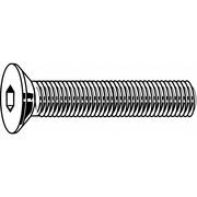M8-1.25 X 25MM BUTTON SOCKET HEAD CAP SCREW TORX DRIVE A2SS