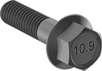 M16-2.0 X 100MM HEX FLANGE BOLT 10.9 Z/Y