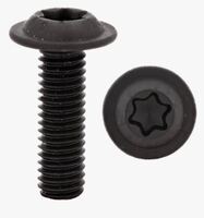 M6X1X20 BUTTON  FLANGE TORX BOLT STAINLESS + BLACK OXIDE