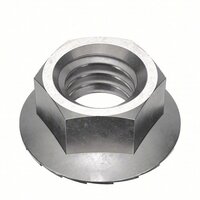 M6-1.0 SERRATED HEX FLANGE LOCKNUT A2SS