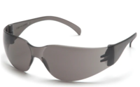 INTRUDER SAFETY GLASSES GRAY