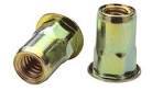 8MM 3.8-7.9 GRIP STEEL RIVET NUTS HEX BODY TRIVALENT YELLOW ZINC [RN812579SLX]