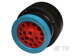 AUTOMOTIVE CONNECTORS PLUG ASM TE CONNECTIVITY